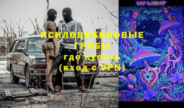 прущие грибы Алексин
