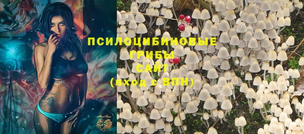 прущие грибы Алексин