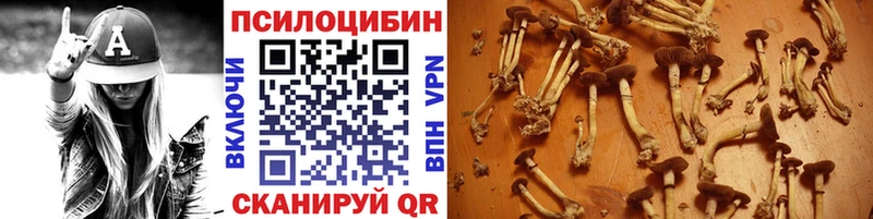 Псилоцибиновые грибы мухоморы  Йошкар-Ола 